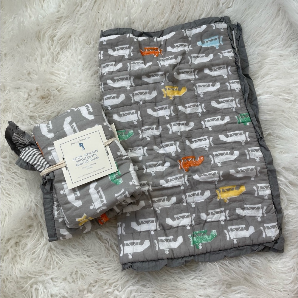 Pottery Barn Kids Wholecloth Airplane Standard Shams (Set of 2)